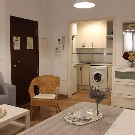 Appartamento Rg Calle Santiago 46
