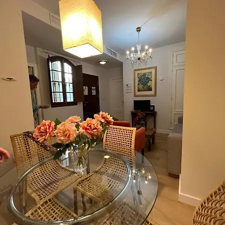 Apartment Rg Calle Santiago 46 Seville
